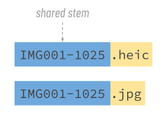 shared stem CFA