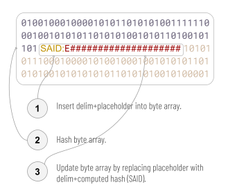 Figure 3: byte array with delimiter + SAID